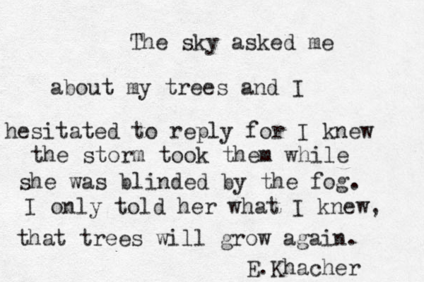 The sky asked me about my trees and I hesitated to reply for I knew the storm took them while she was blind ed by the fog. I only told her what I knew, that trees will grow again. E.Khacher