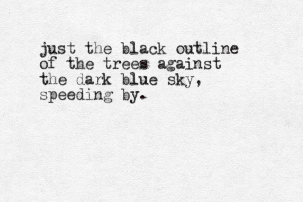 just the black outline of the trees against the dark blue sky, speeding by.
