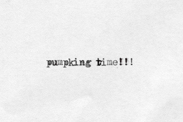 pumpking rime t t !!!