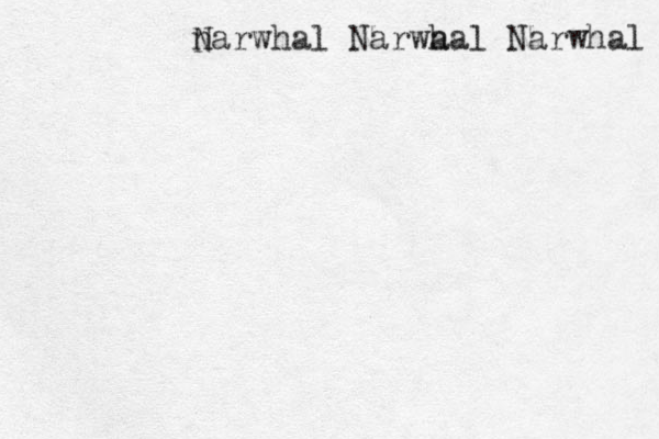 n Narwhal Narwa hal Narwhal 
