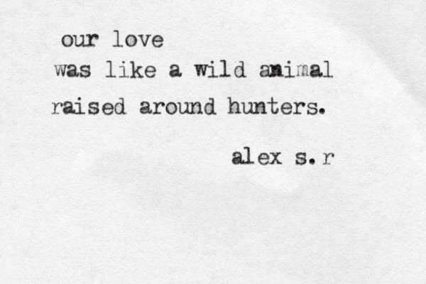 our love was like a wild animal raised around hunters. alex s.r 