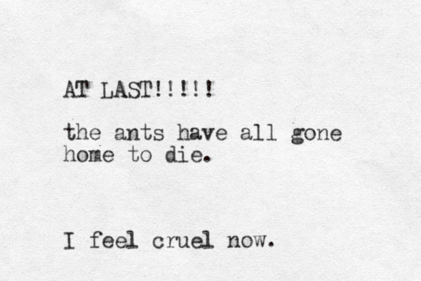 AT LAST!!!!! the ants have all gone home to die. I feel cruel now.
