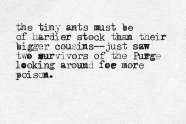 the tiny ants must be of hardier stock than their bigger cousins--just saw two survivors of the Purge looking around foe more r e poison.