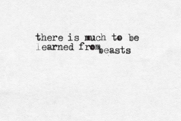there is much to be learned from beasts 