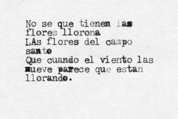 No se que tienen las flores llorona LA s flores del campo santo Que cuando el viento las mueve parece que estan llorando. 