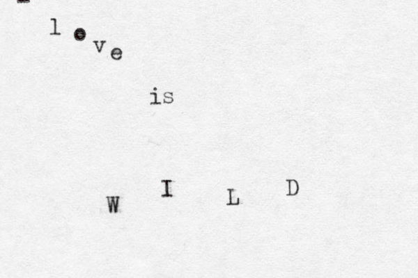 - l o v e is W I L D 