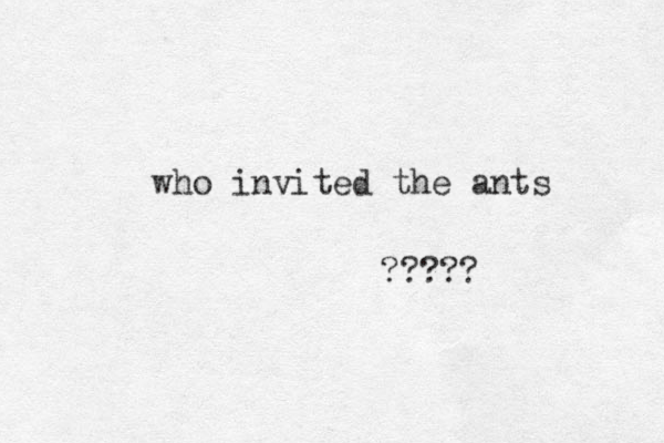 who invited the ants ?????