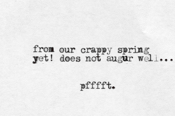 from our crappy spring yet! does not auger well.... u u pfffft.