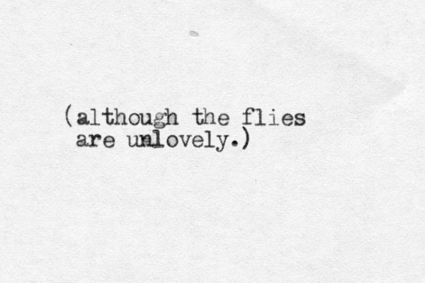 (although the flies are unlovely.)