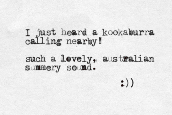 I just heard a kookaburra calling nearby! such a lovely, australian summery sound. :)) 