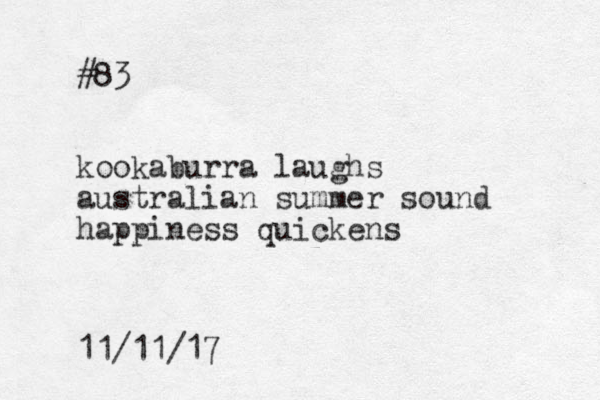 #83 kookaburra laughs australian summer sound happiness quickens 11/11/17 