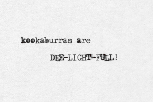 kookaburras are DEE-LIGHT-FULL! 