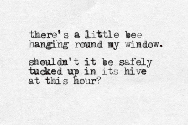 there's a little bee hanging round my window. shouldn't it be safely tucked up in its hive at this hour? 