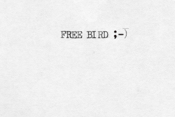 FREE BIRD ;-)