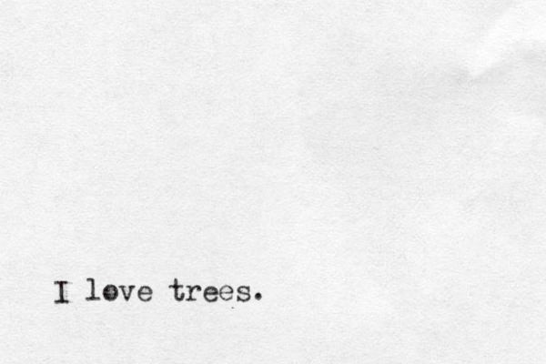 I love trees.
