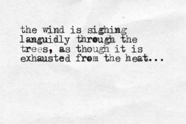 the wind is sighing languidly through the trees, as though it is exhausted from the heat... 