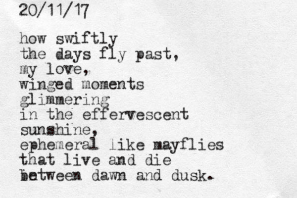 how swiftly the days fly past, my love, winged moments glimmering in the effervescent sunshine, ephemeral like mayflies that live and die in between dawn and dusk. 20/11/17 