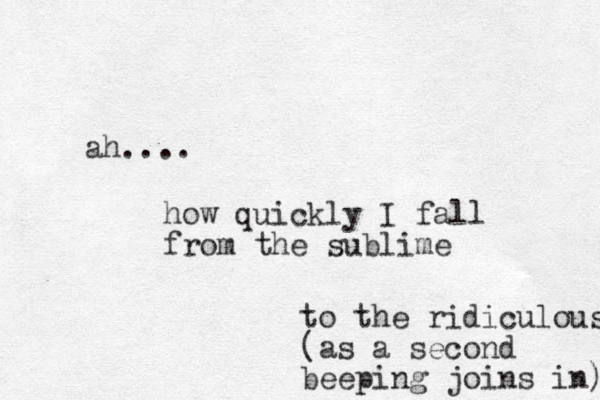 ah.... how quickly I fall from the sublime to the ridiculous (as a second beeping joins in) 