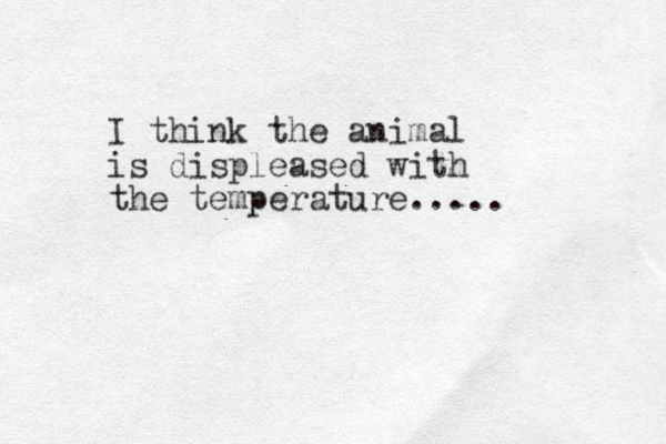 I think the animal is displeased with the temperature..... 