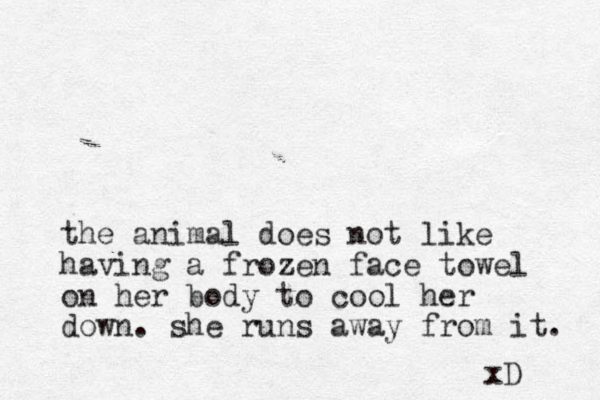 the animal does not like having a frozen face towel on her body to cool her down. she runs away from it. xD 