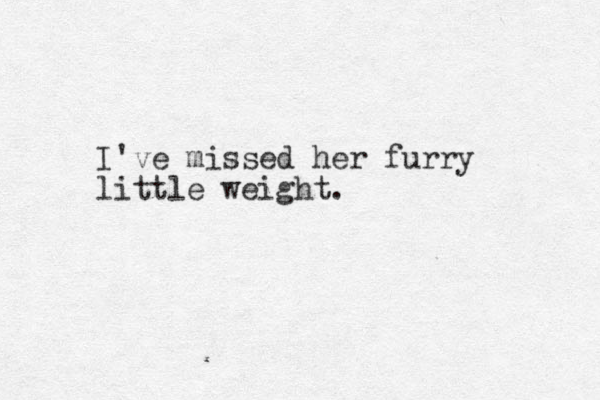 I've missed her furry little weight.