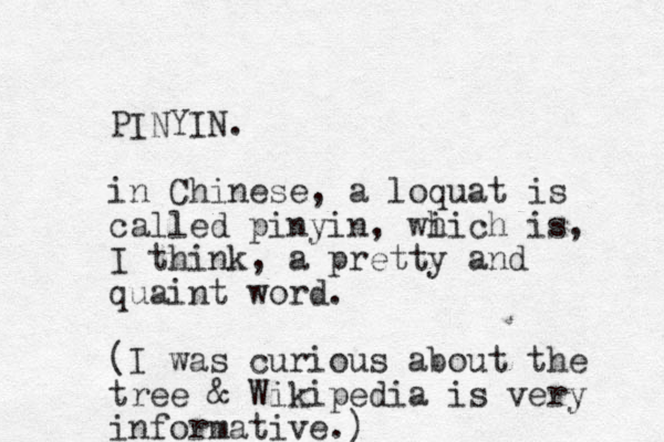 PINYIN. in Chinese, a loquat is called pinyin, wi hich is, I think, a pretty and quaint word. (I was curious about the tree & Wikipedia is very informative.)