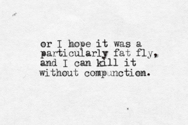 or I hope it was a particularly fat fly, and I can kill it without compunction. 