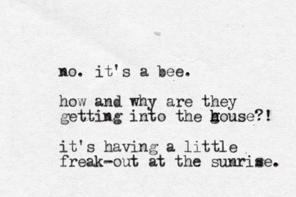 no. it's a bee. how and why are they getting into the g h house?! it's having a little freak-out at the sunrise. 