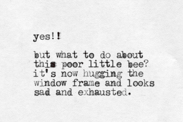 yes!! but what to do about this poor little bee? it's now hugging the window frame and looks sad and exhausted.