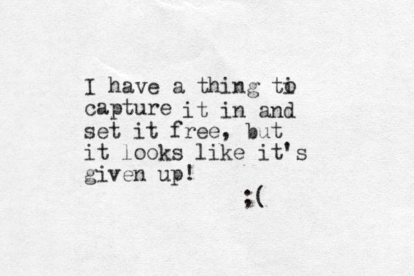 I have a thing ti capture it in and set it free, but it looks like it's given up! ;( o