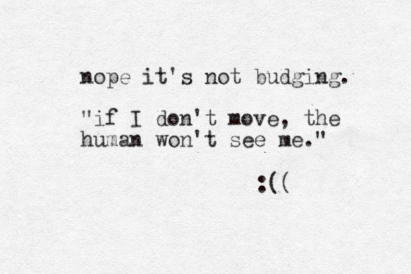 nope it's not budging. "if I don't move, the human won't see me." :((