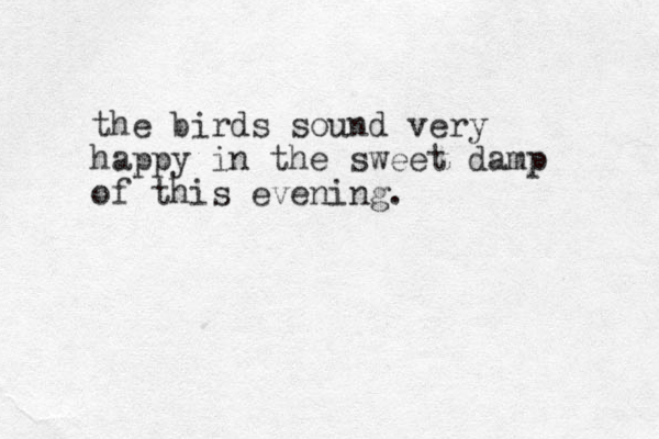 the birds sound very happy in the sweet damp of this evening.