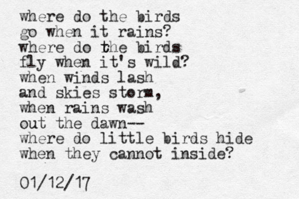 where do the birds go when it rains? where do rhe t t birds fly when it's wild? when winds lash and skies storm, when rains wash out the dawn-- u where do little birds hide when they cannot inside? 01/12/17 