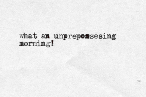 what an unprepossesing morning! 