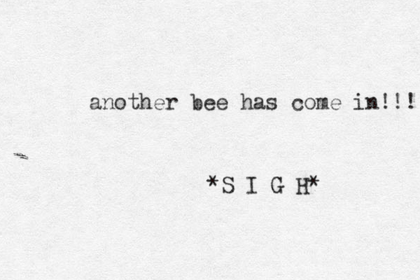 another bee has come in!!! *S I G H * 