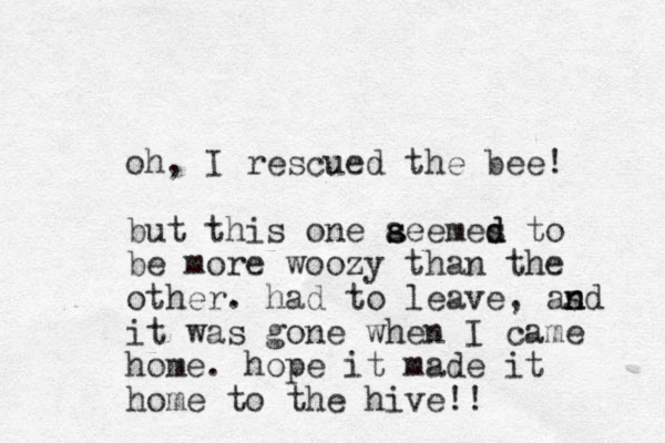 oh, I rescued the bee! but this one aeemes to d d s s be more woozy than the other. had to leave, as n nd it was gone when I came home. hope it made it home to the hive!! 