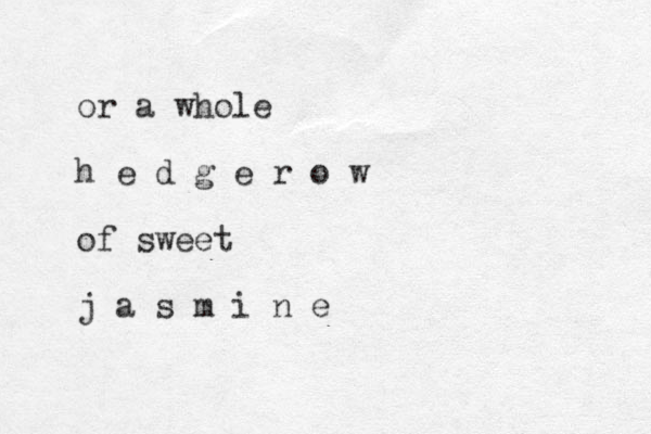 or a whole h e d g e r o w of sweet j a s m i n e