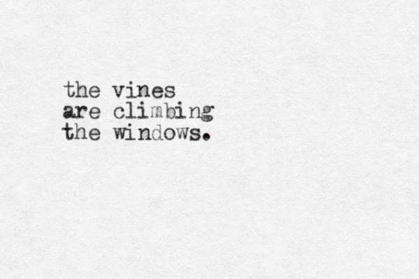 the vines are climbing the windows.