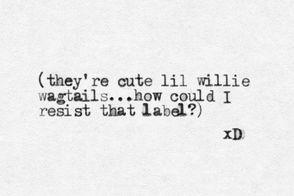 (they're cute lil willie wagtails...how could I resist that label?) xD 