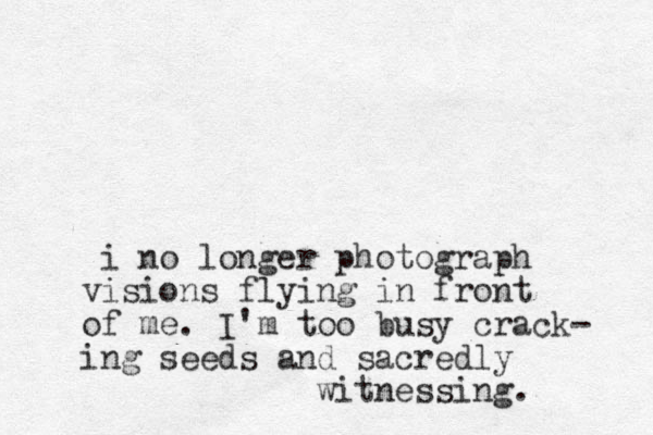 i no longer photograph visions flying in front of me. I'm too busy crack- ing seeds and sacredly witnessing.