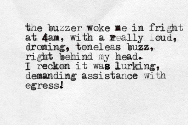 the buzzer woke me i n fright at 4am, with a really loud, droning, toneleas buzz, right behind my head. I reckon it waa s s lurking, demanding assistance with egress. ! ! 