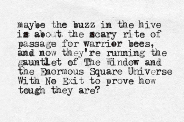 maybe the buzz in the hive is about the scary rite of passage for warrior bees, and now they're running the gauntlet of The Window and the Enormous Square Universe With No Exit to prove how tough they are?