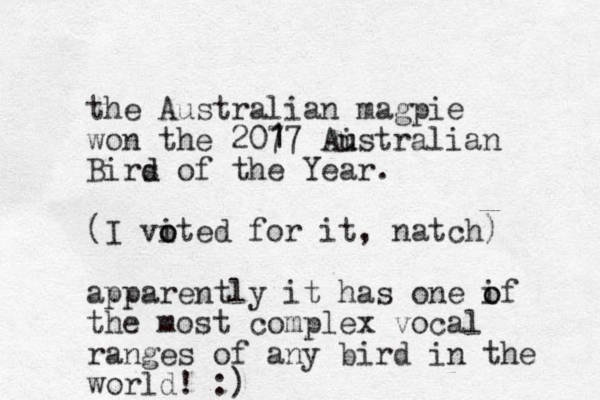 the Australian magpie won the 207 17 1 Ai u ustralian Birs d d of the Year. (I vited o o for it, natch) apparently it has one if o o the most complex vocal ranges of any bird in the world! :) 