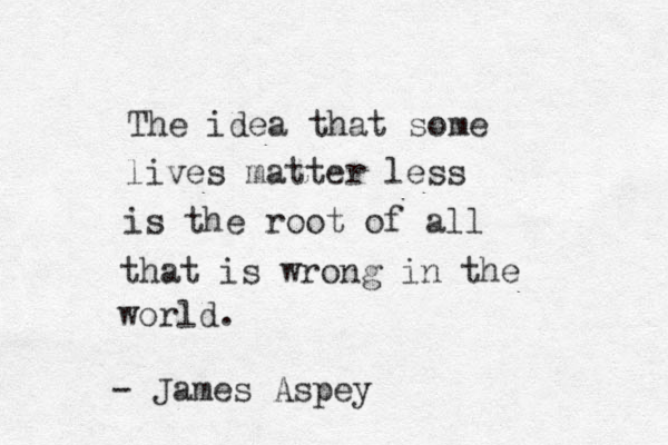 The idea that some lives matter less is the root of all that is wrong in the world. - James Aspey 