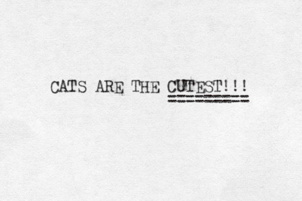 CATS ARE THE CUTEST!!! ========= 