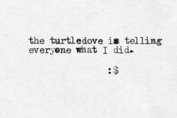 the turtledove is telling everyone what I did. :$