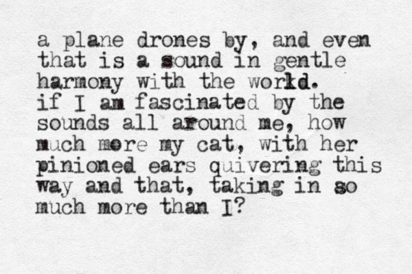 a plane drones by, and even that is a sound in gentle harmony with the workd l ld. if I am fascinated by the sounds all around me, how much more my cat, with her pinioned ears quivering this way and that, taking in ao much more than I? s 
