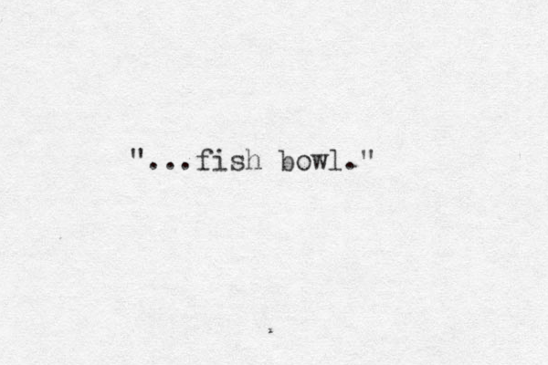 "...fish bowl."