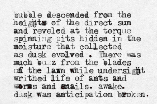bubble descended from the heigj hts of the direct sun and reveled at the torque spinning pits hidden in the moisture that collected as dusk evolved . There was much buzz from the blades on f f the lax w wn while undersigjt h h writhed life of ants and worms and snails. awake. dusk was anticipation broken. 