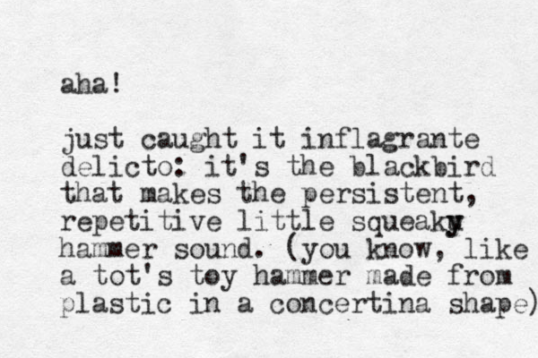 aha! just caught it inflagrante delicto: it's the blackbird that makes the persistent, repetitive little squeaku y y hammer sound. (you know, like a tot's toy hammer made from plastic in a concertina shape) 